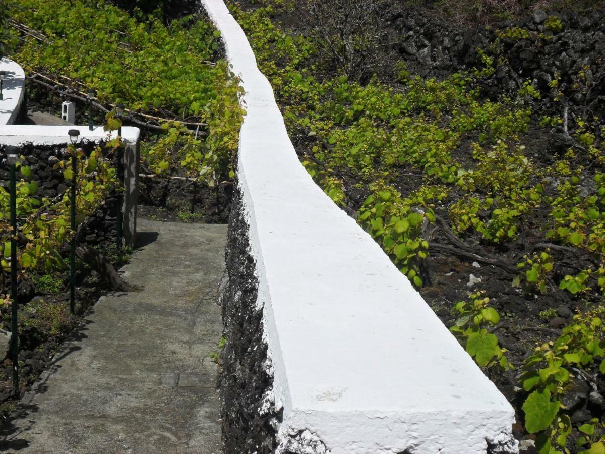 Villa Adega Ilhéu Feteira  Exterior foto
